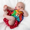 Picture of Teething Blankie